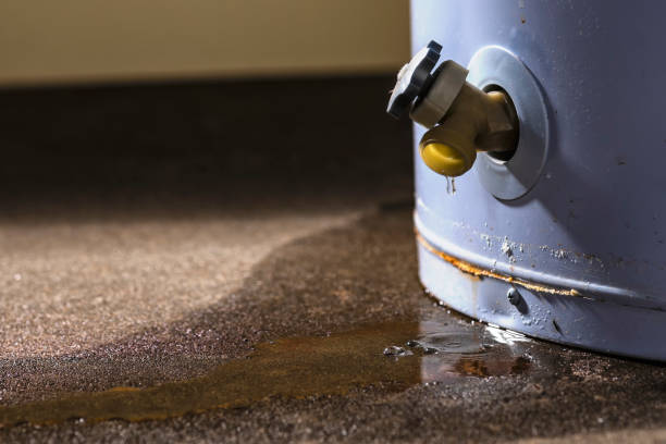 Best Emergency water damage restoration  in Eerlin, ND