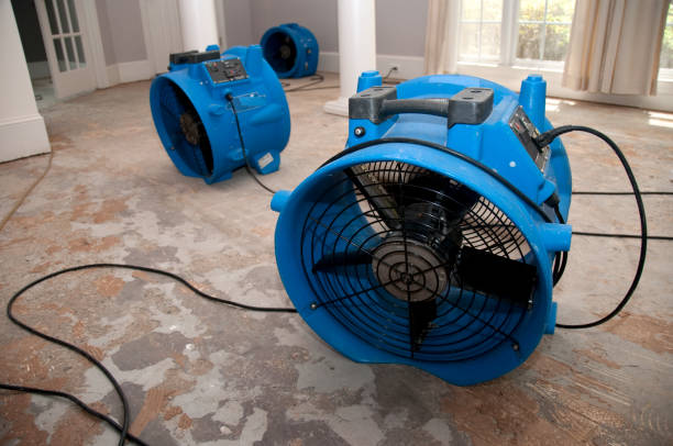 Best Water damage cleanup near me  in Eerlin, ND