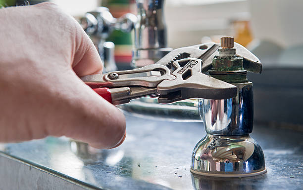 Best Flooded house restoration  in Eerlin, ND