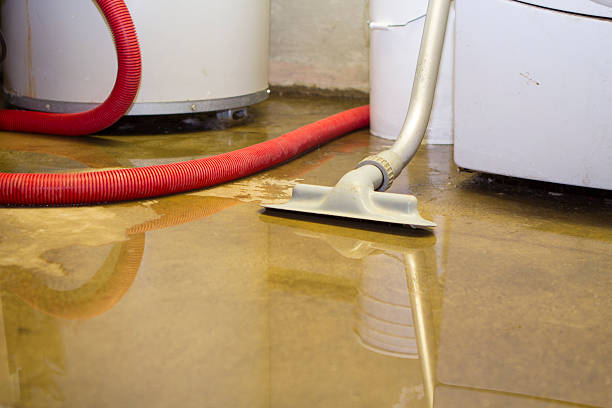 Best 24-hour water damage restoration  in Eerlin, ND
