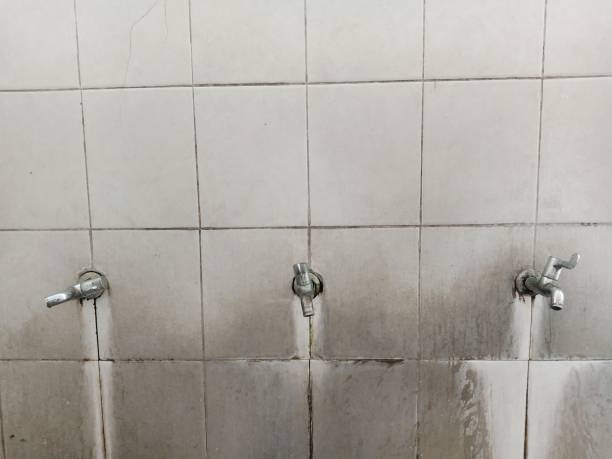 Best Commercial water damage restoration  in Eerlin, ND