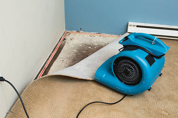 Best Sewage cleanup and water damage restoration  in Eerlin, ND